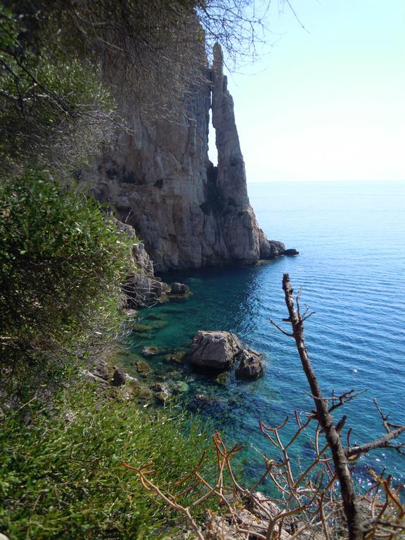 Appartamenti Da Vincenza Santa Maria Navarrese Ngoại thất bức ảnh